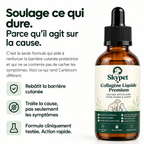 The Daily Buddy Premium Liquid Collagen for Dogs